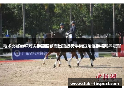 马术比赛巅峰对决谁能脱颖而出顶级骑手激烈角逐谁将问鼎冠军